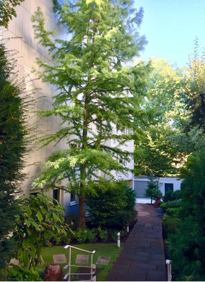Apartment Centrum Im Gruenen Neurenberg Buitenkant foto